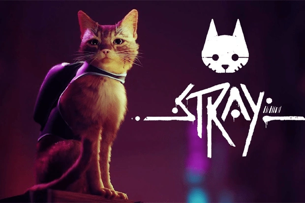 دانلود بازی Stray برای نینتندو سوییچ | تجربه‌ای منحصربه‌فرد از دید یک گربه
