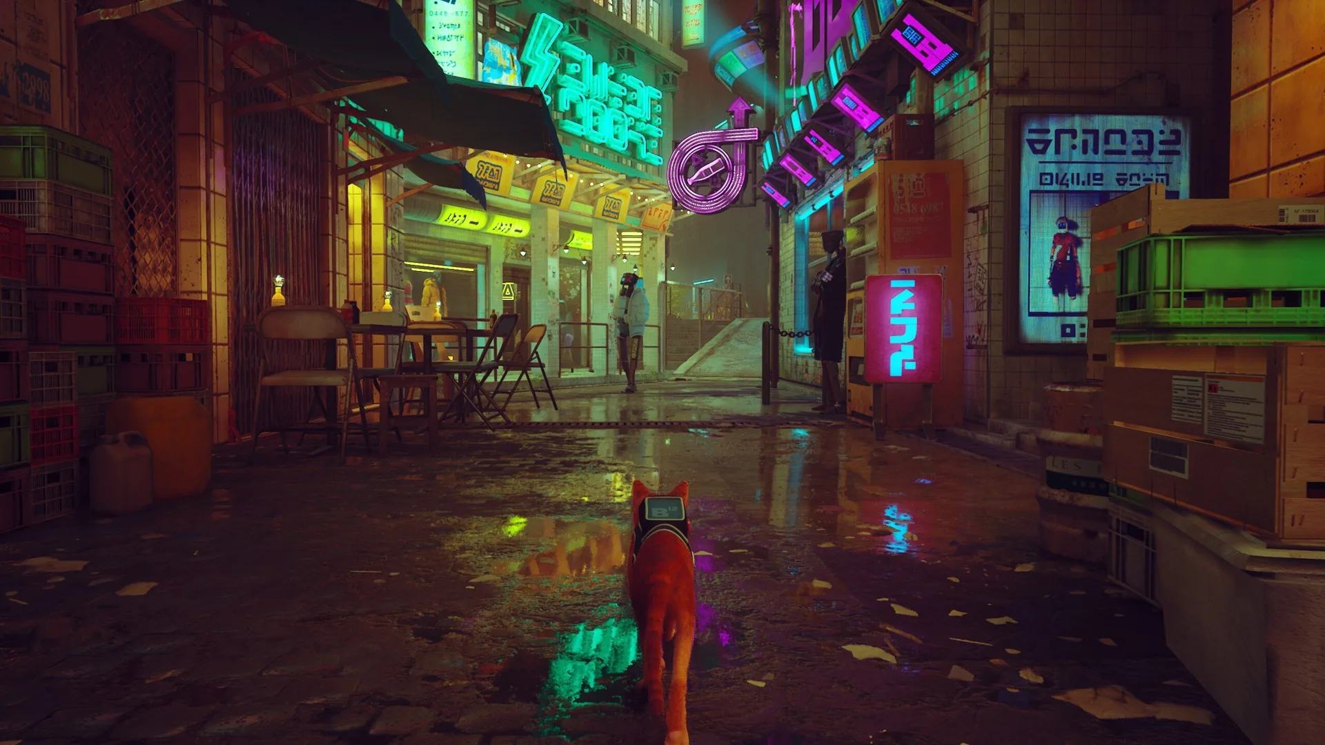 دانلود بازی Stray برای نینتندو سوییچ | تجربه‌ای منحصربه‌فرد از دید یک گربه