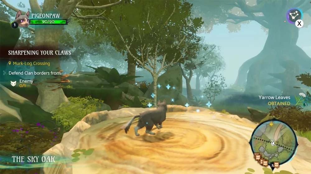 Warrior Cats Clans of the Forest review