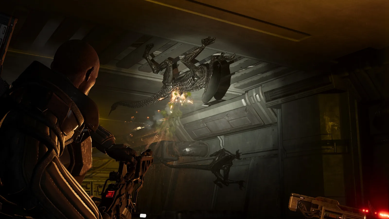 تاریخ انتشار بازی Aliens: Fireteam Elite 2 برای نینتندو سوییچ ۲ مشخص شد (به‌روزرسانی: تاخیر خورد!)