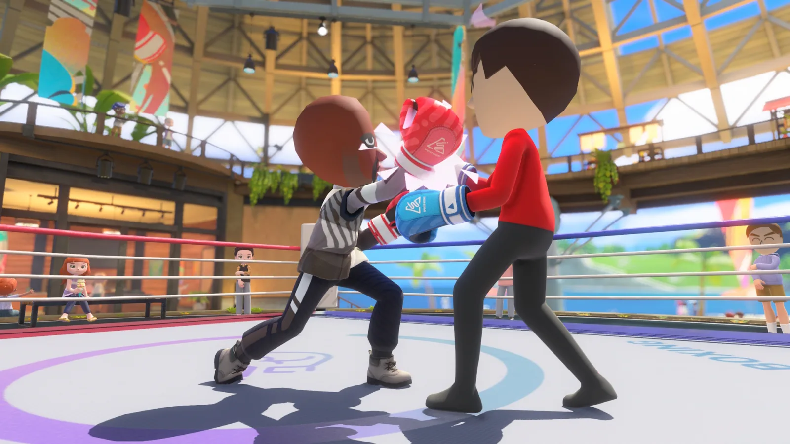 Nintendo Switch Sports Resort Matt